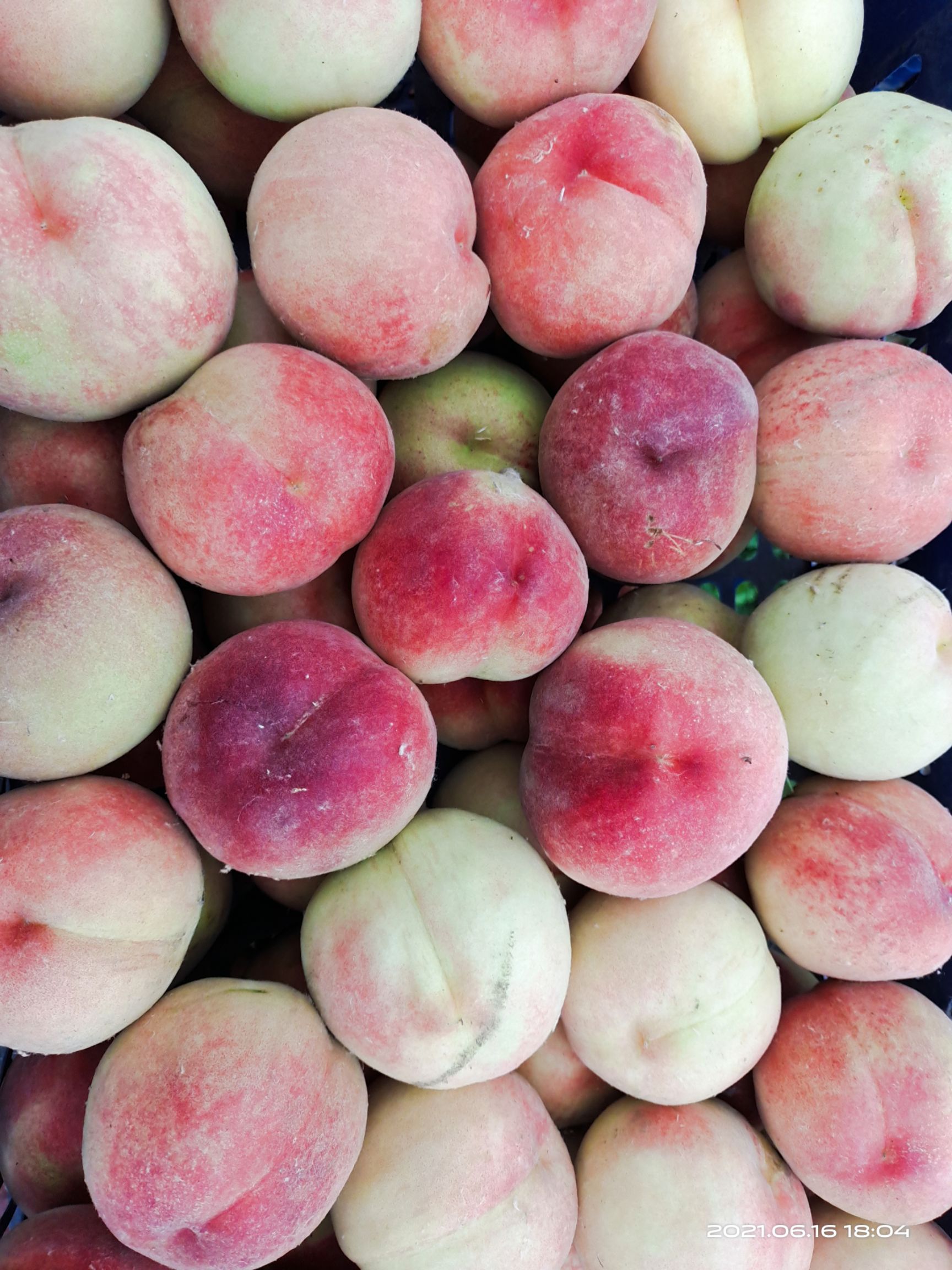 永莲蜜桃  水密桃个大口感好量大价优