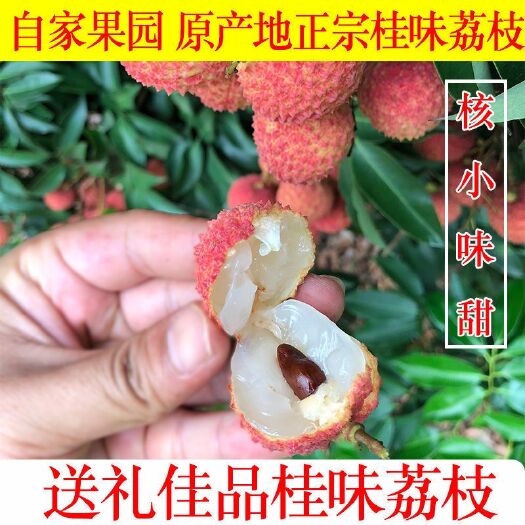 化州市 茂名产地大量桂味荔枝供应 产地直发，可1件代发