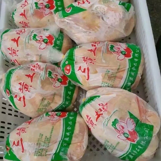 阳谷县聊城市蓝威食品三黄鸡 西装鸡