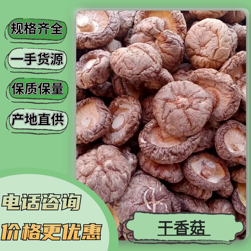 【聚便宜干香菇】产地批发精选各规格大中小优质干香菇产地批发
