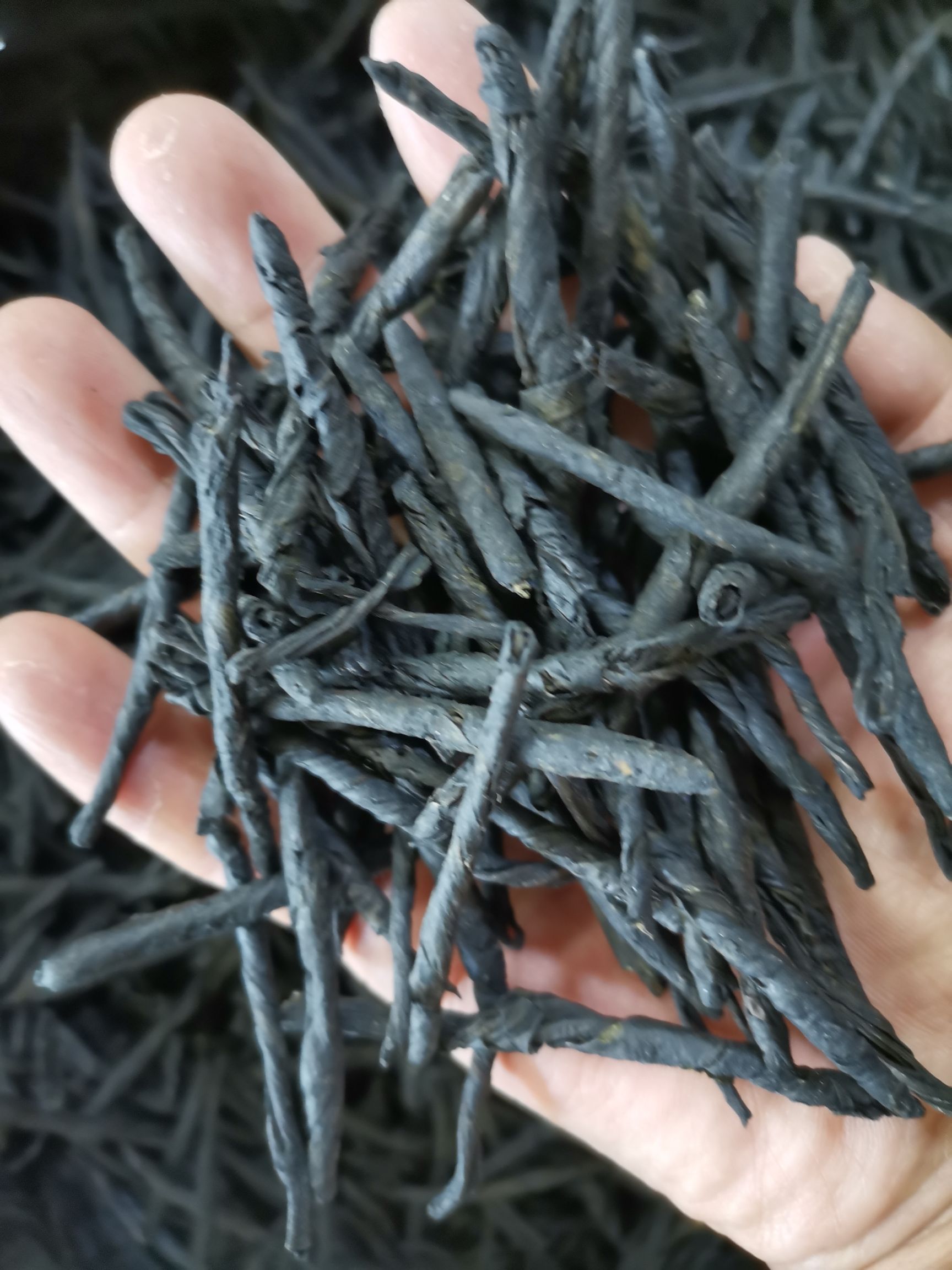 苦丁茶   干货正品  去火  包邮