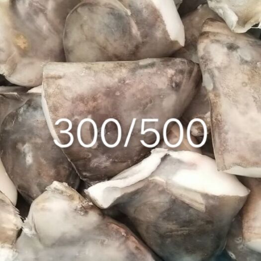 济南比目鱼  300/400整鲽鱼，300/500鲽鱼头有货，价格便宜