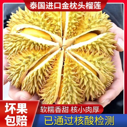 昆明 金枕榴莲 【爆糯爆】A级泰国金枕头榴莲 一件代发 新鲜水
