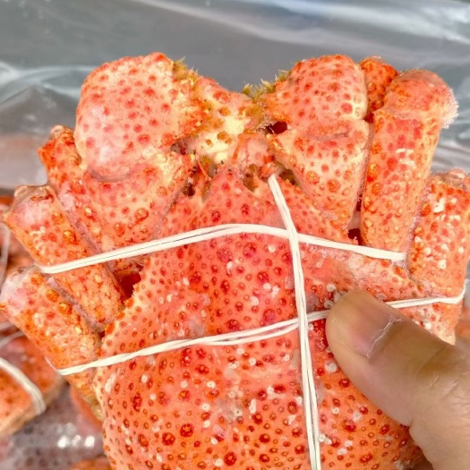 成都 雪蟹