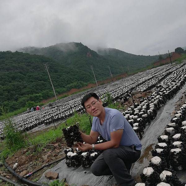 碗耳 东北特级黑木耳  黑龙江小秋耳 鲜嫩脆滑