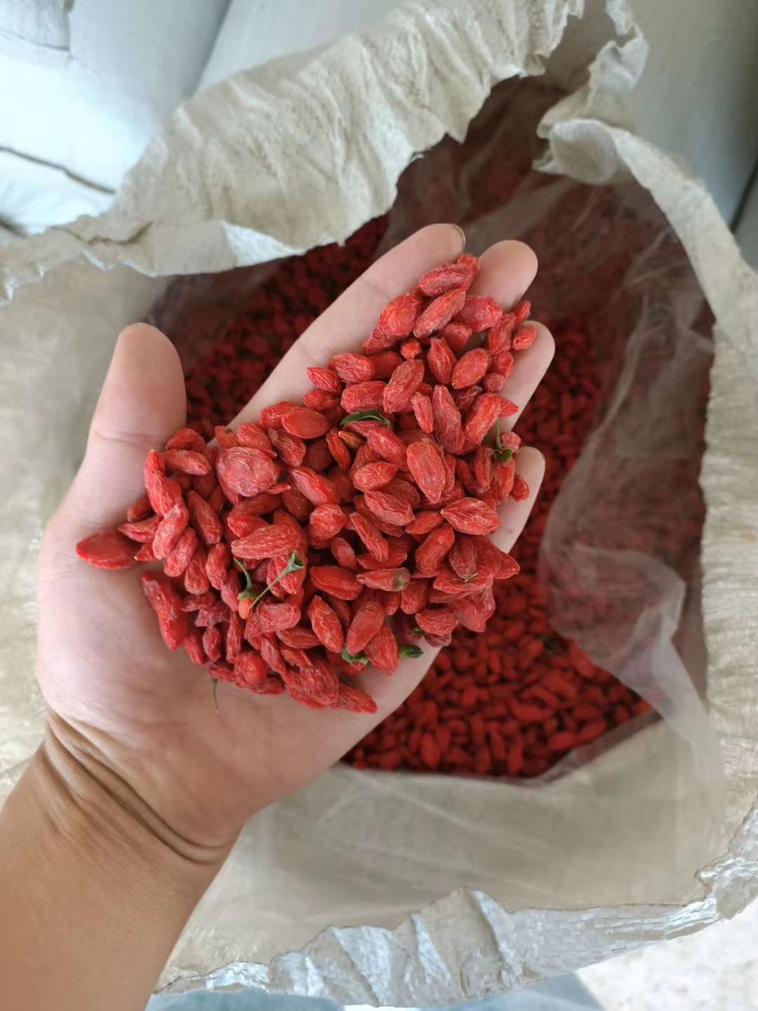  新疆红枸杞新货已上市，产地发货，一手货源