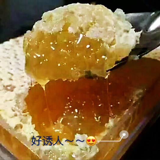 北京蜂巢蜜  花香蜂场出售土蜂蜜和巢蜜