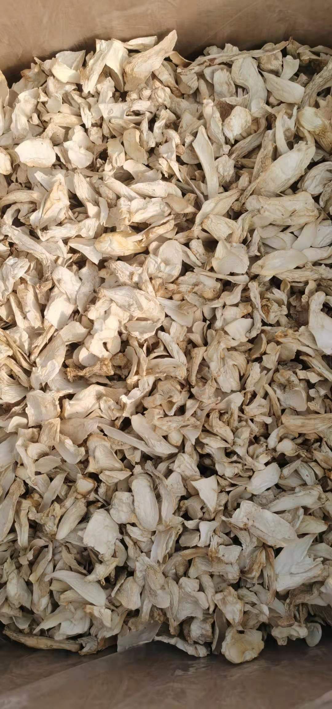 杏鲍菇片