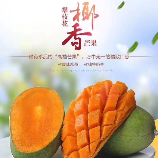  攀枝花本地特产：椰香芒果一款具有奶香味的芒果