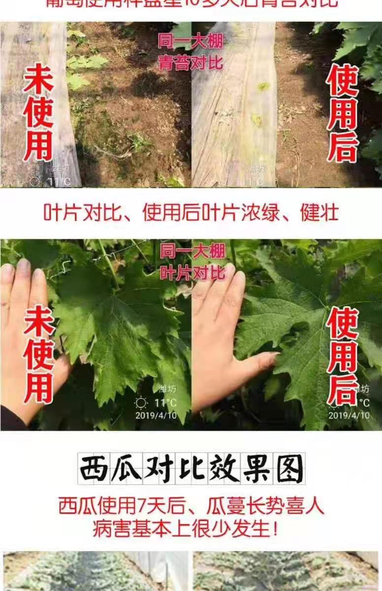 硫酸钾水溶肥，****，改善品质口感，叶片光滑
