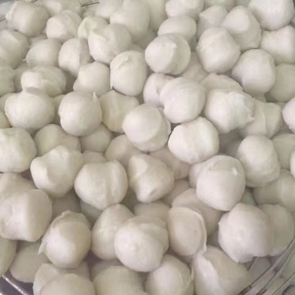  正宗潮汕鳗鱼丸，马鲛鱼丸自家渔船出海后冰鲜鳗鱼，马鲛鱼制作