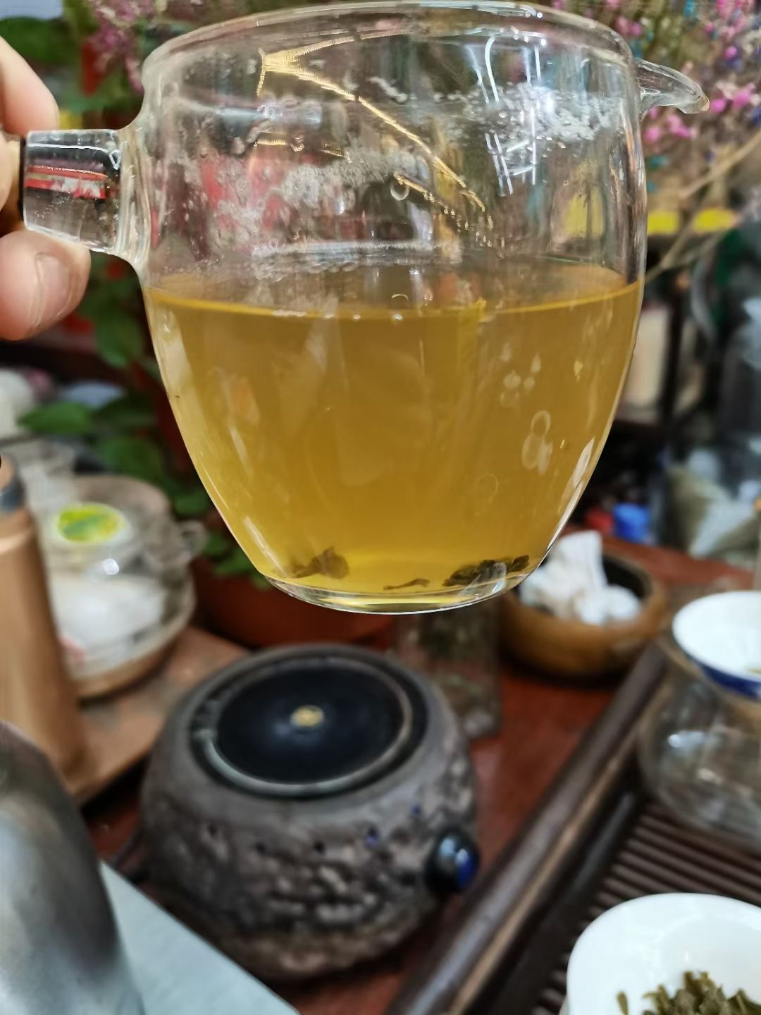 云雾茶  河源仙湖茶