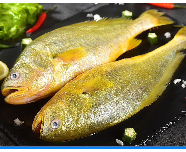 国产大黄鱼新鲜冷冻大黄花鱼深海黄花鱼批发包邮