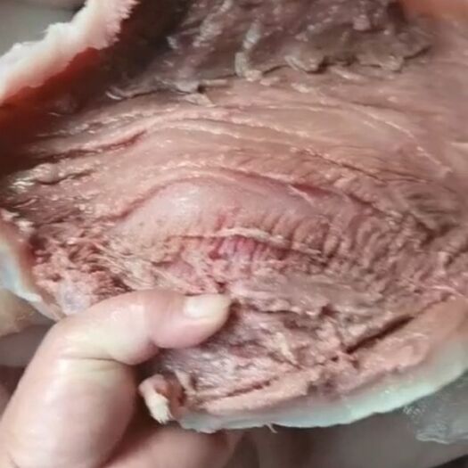 纯水煮水退毛带肉牛头皮块，干净熟度好，五斤真空包装