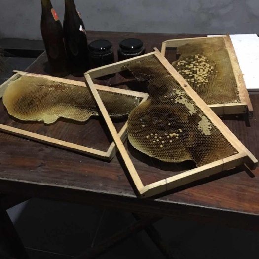 上犹县土蜂蜜  赣州百花蜂蜜