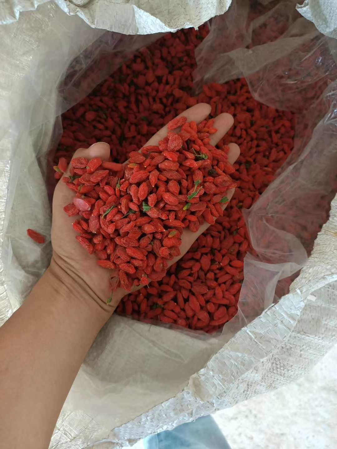  新疆红枸杞新货已上市，产地发货，一手货源