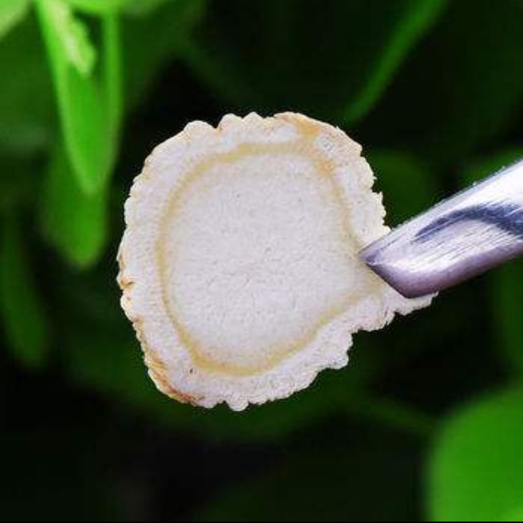 长白山 软支【白参片】人参片 各种规格齐全 产地批发