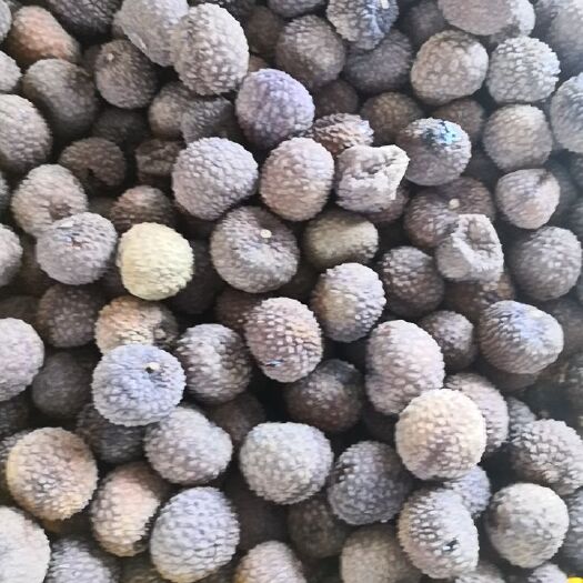 灵山县 广西荔枝干
