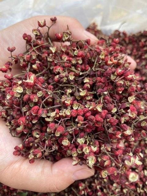 芮城县 山地大红袍花椒