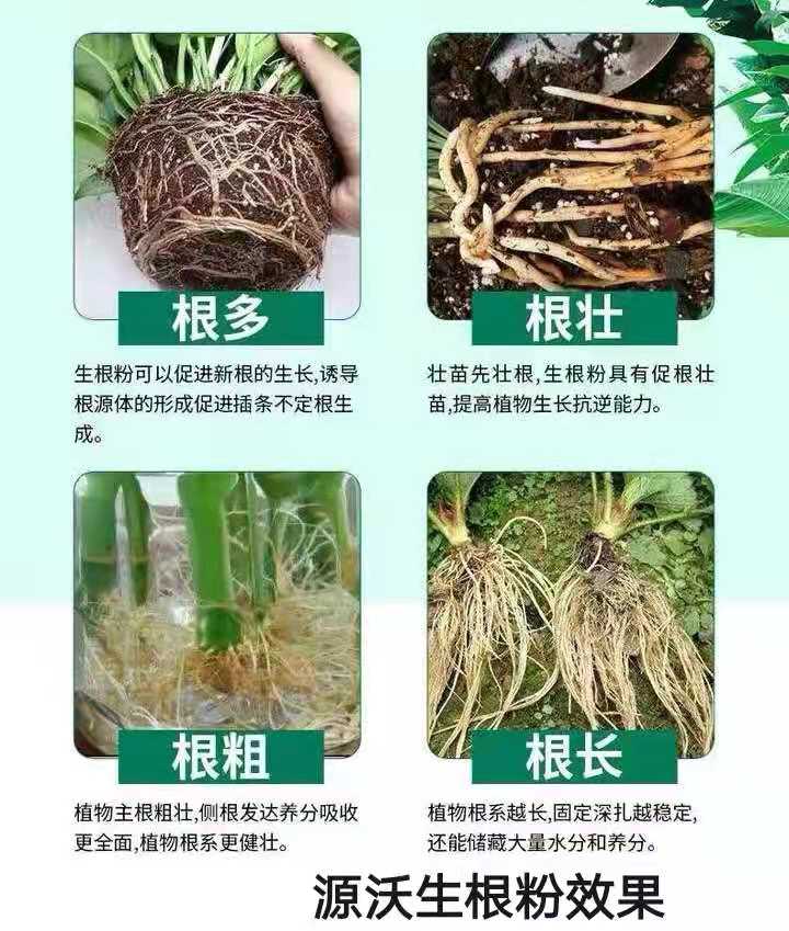 硫酸钾水溶肥，****，改善品质口感，叶片光滑