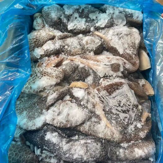 成都羊肚 半熟羊毛肚 出成率高 口感好