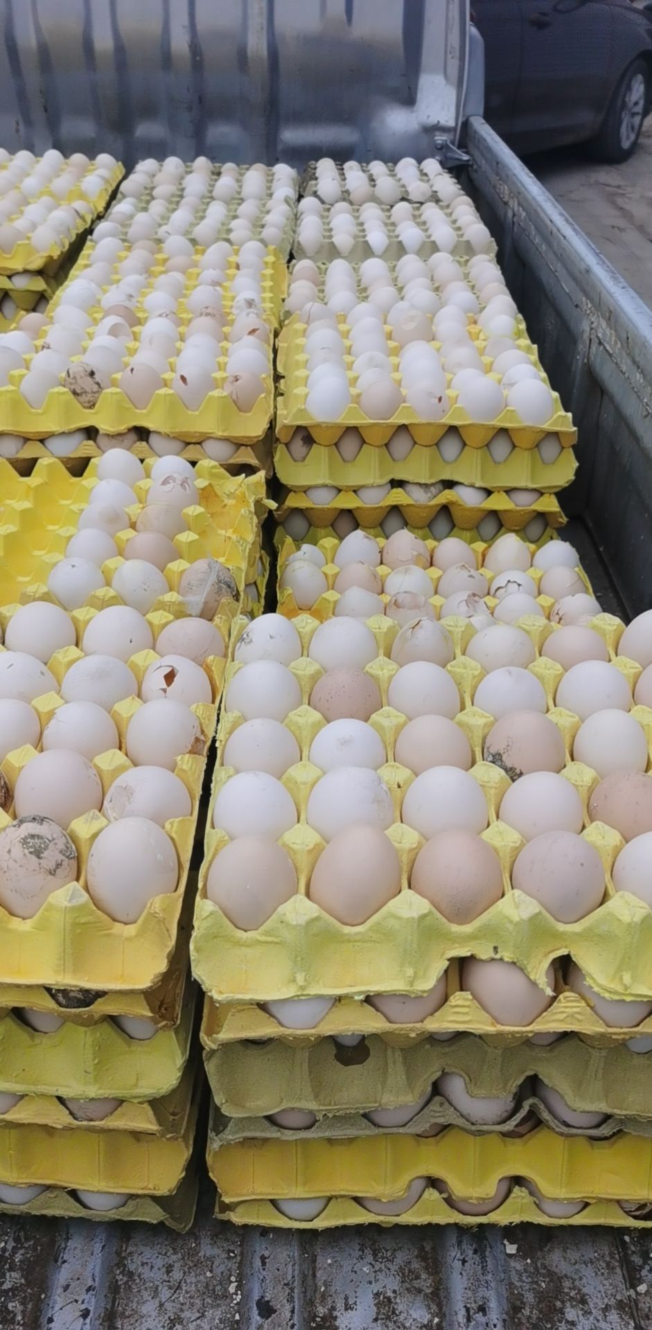 [粉壳蛋批发]粉壳蛋 沙壳蛋,粪蛋,畸形蛋,价格28元/斤 