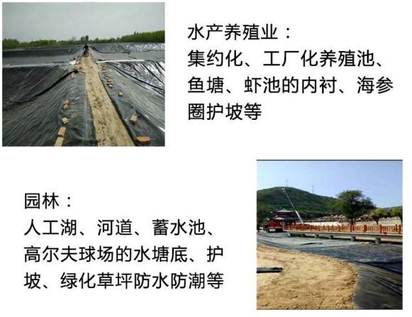 泰安防渗膜  土工布