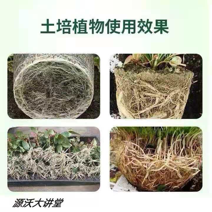 硫酸钾水溶肥，****，改善品质口感，叶片光滑