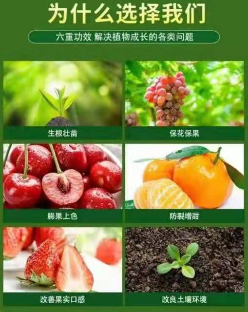 硫酸钾水溶肥，****，改善品质口感，叶片光滑