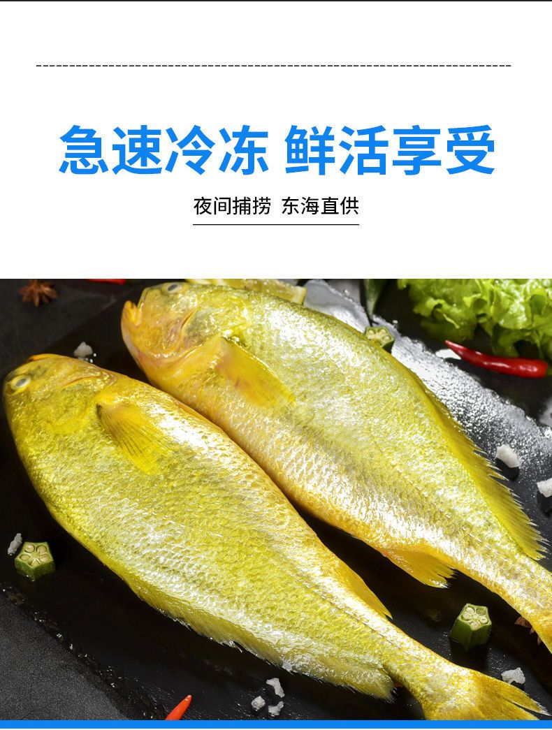 国产大黄鱼新鲜冷冻大黄花鱼深海黄花鱼批发包邮