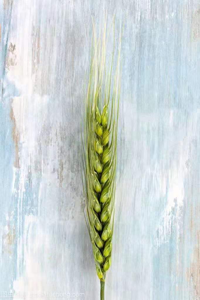 2021新鲜青麦仁自产麦子绿色麦仁1000g25.9，包邮