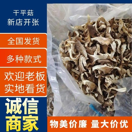 邯郸干平菇，条行，块行，质量好，