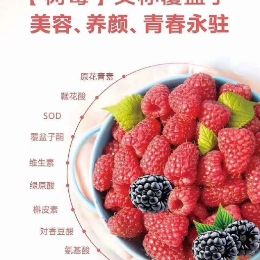 安泽县 树莓果鲜果