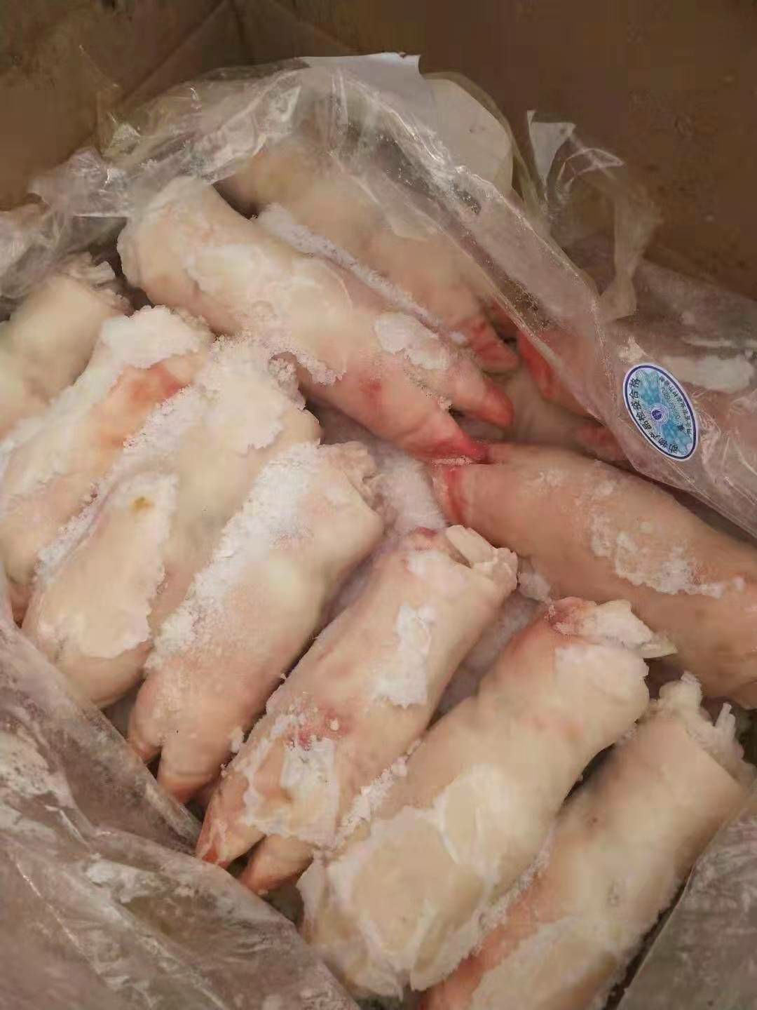 猪蹄  国产肥猪二级蹄子22个左右