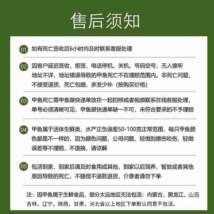 黄沙鳖  山塘放养.泉水养殖.精品甲鱼.水鱼.团鱼.王八.鳖