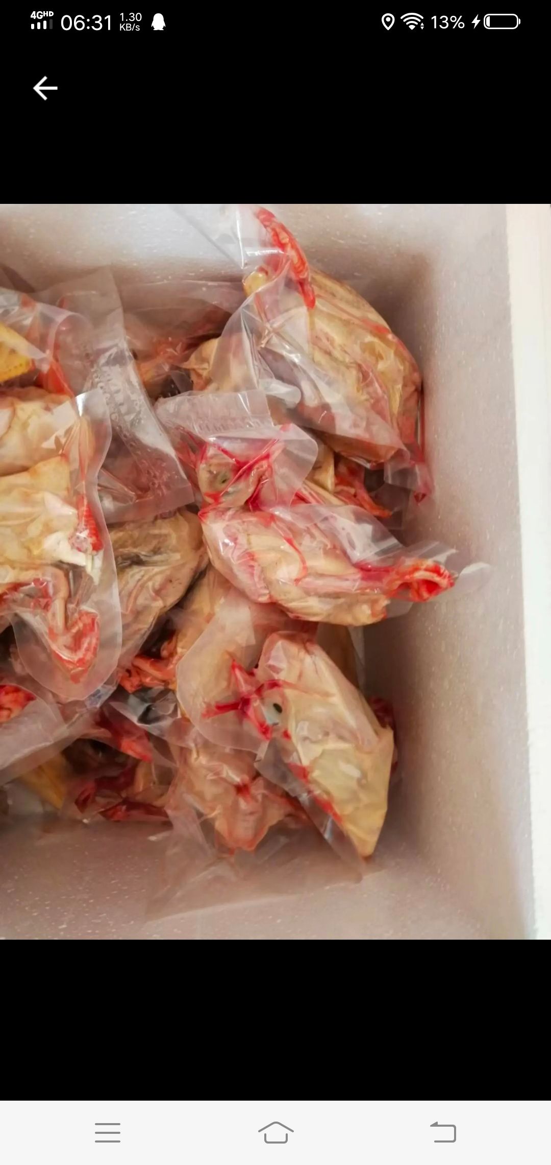  农场自产杂粮白条鸽，一手货源，现在现杀，保证新鲜，
