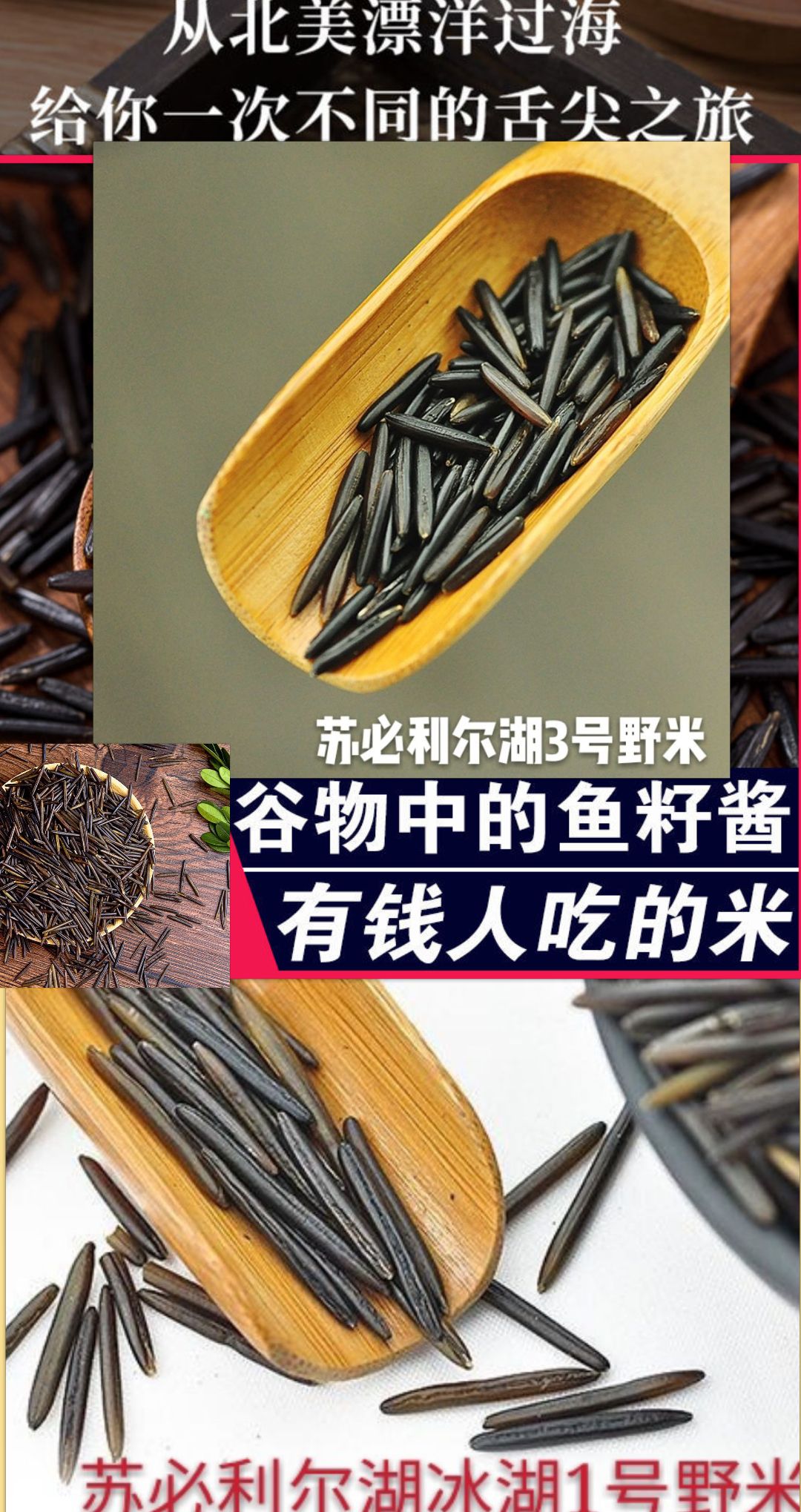 野米  冰湖加拿大米中的鱼子酱五谷杂粮北美米净重454克