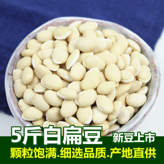 广州干扁豆  白扁豆 云南农家食用药用白扁豆新豆煲粥小扁豆散装五