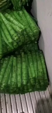 三青莴笋  莴苣 三青光杆精品货 基地直发