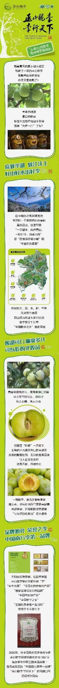 巫山脱骨李 重庆市重庆市巫山县 