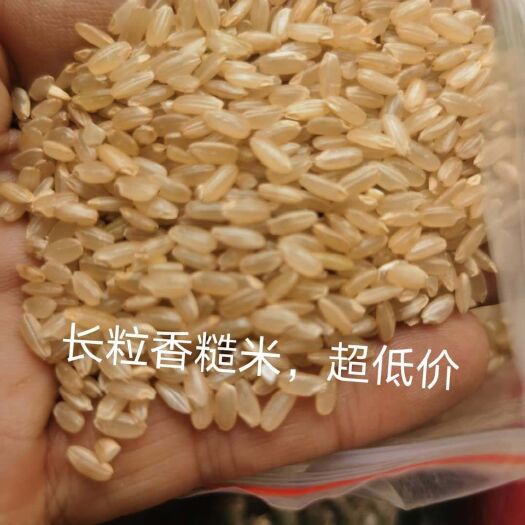哈尔滨 长粒香糙米