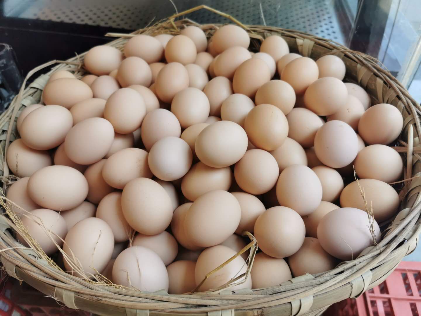 鸡蛋图片真实照片图片