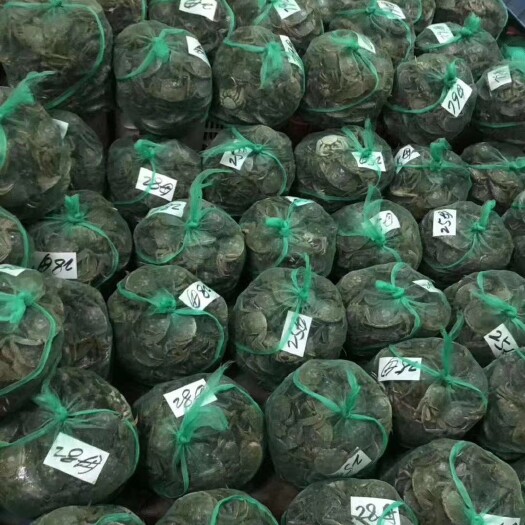 潜江市大闸蟹  江苏基地螃蟹