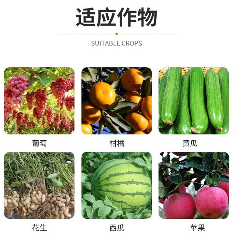 颗粒硼  硼肥 寡糖脂化硼促花壮花保果稳果、提高产量、瓜果蔬菜增加座果