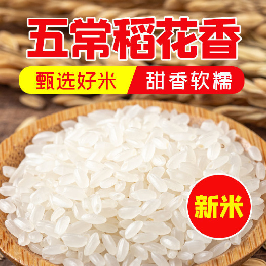 郯城县贡米 优质大米