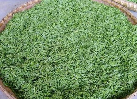 恩施市玉露茶 恩施玉露