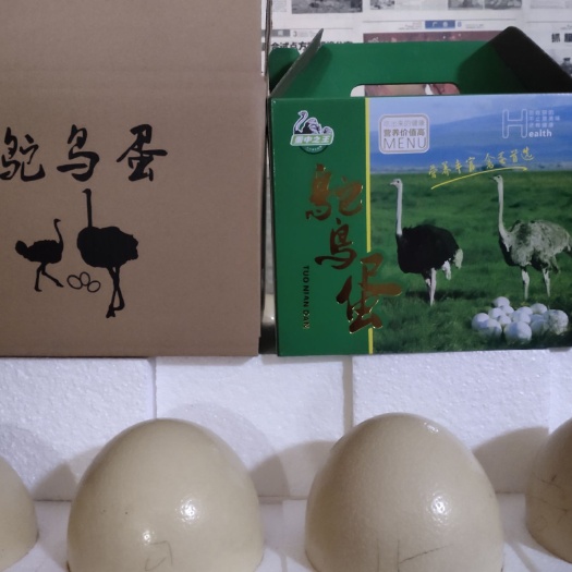 辛集市土鸡蛋  鸵鸟蛋