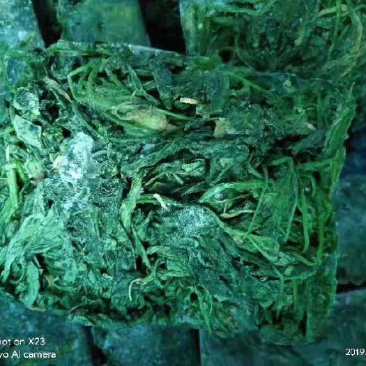 深圳速冻荠菜，包子，馄饨馅料！常年有货！