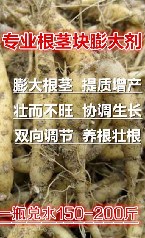 睢县叶面肥 中药材地下根块茎太子参专用膨大素蒜生姜洋葱壮根药增产剂叶