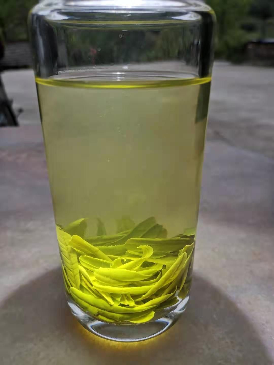  2021绿茶～六安瓜片
